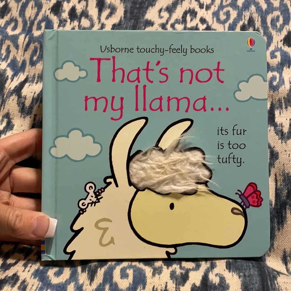 Usborne touchy-geeky book perfect for a little ones